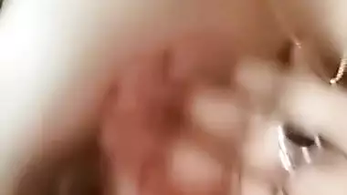 Milky booby