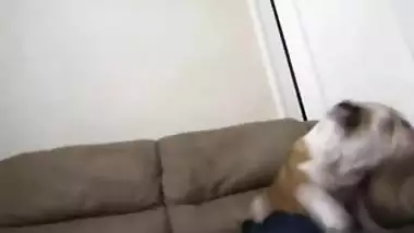 NRI Girl Fucked By Lover With Their Pet Watching